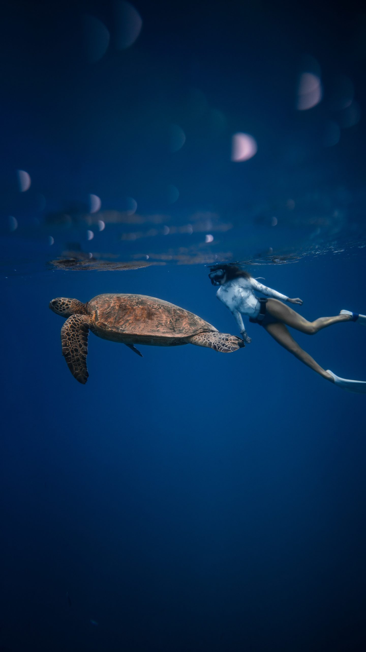 Name an Activity People Do on a Hawaiian Vacation: Unforgettable Experiences on Paradise Islands