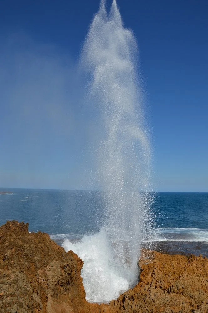 Blowhole