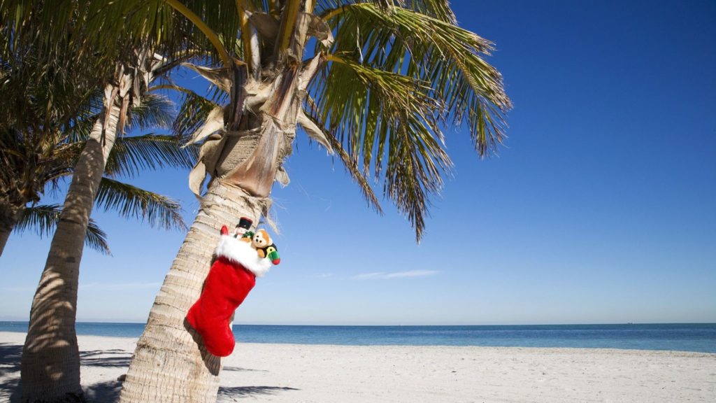Christmas stocking on palm tree